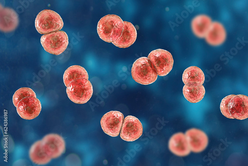 Streptococcus pneumoniae bacteria, 3D scientific illustration photo