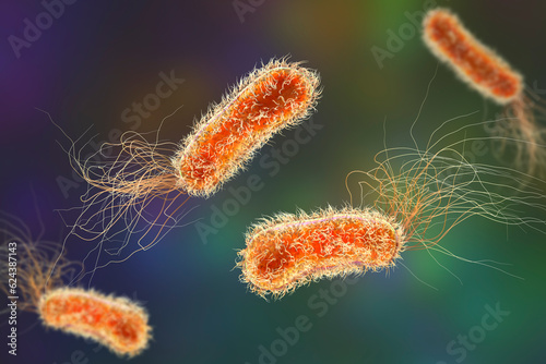 Pseudomonas aeruginosa bacteria, 3D illustration photo