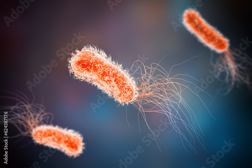 Pseudomonas aeruginosa bacteria, 3D illustration photo