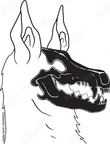 illustration dog with skull face