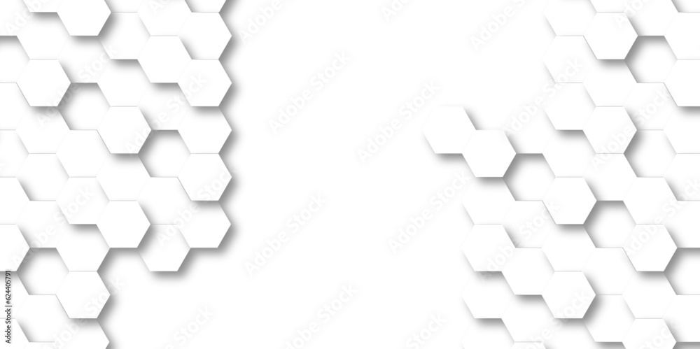 Background with white and black lines 3d Hexagonal structure futuristic white background and Embossed Hexagon , honeycomb white Background ,light and shadow ,Vector. Background with white and black lines 3d Hexagonal structure futuristic white background and Embossed Hexagon , honeycomb white Background ,light and shadow ,Vector.