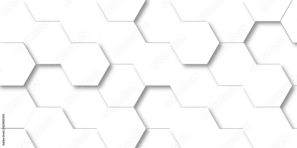 Fototapeta premium Background with white and black lines 3d Hexagonal structure futuristic white background and Embossed Hexagon , honeycomb white Background ,light and shadow ,Vector.