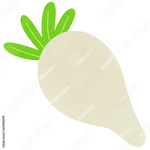 Drawing of daikon radish is...