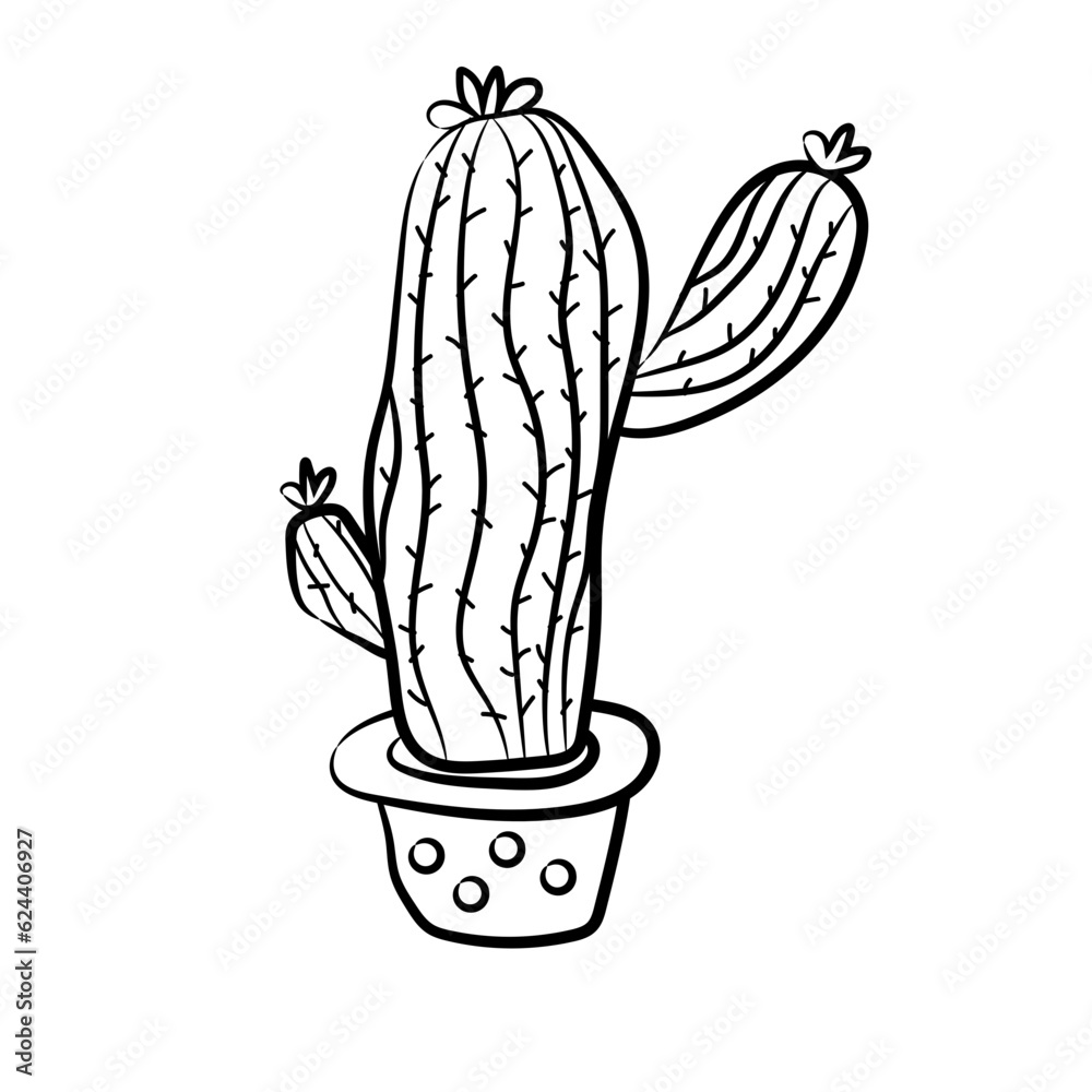 Fototapeta premium cactus in a pot