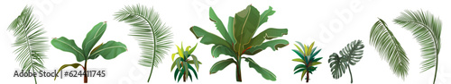 Border with tropical plants. Set of green leaves from coconut palm, banana tree, monstera, bamboo, dracaena on white background. Panoramic view, realistic botanical illustration in watercolor style