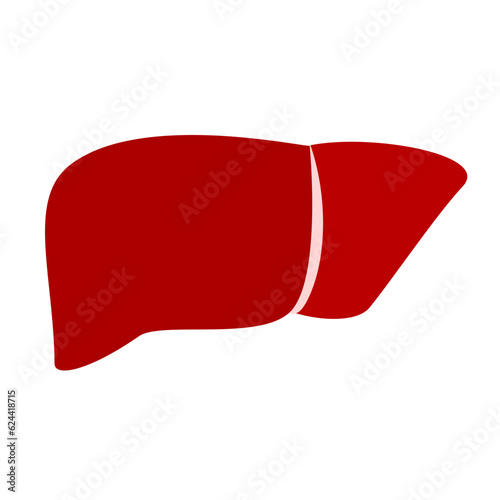 Human liver