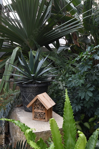 Small native bee house with nesting tubes and bamboo in lush tropical like setting