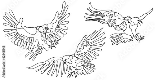 Set of Line Art Raptor Eagle Birds Drawing, Minimal One Line Illustration of Eagle Flying Ready to Hunt Prey