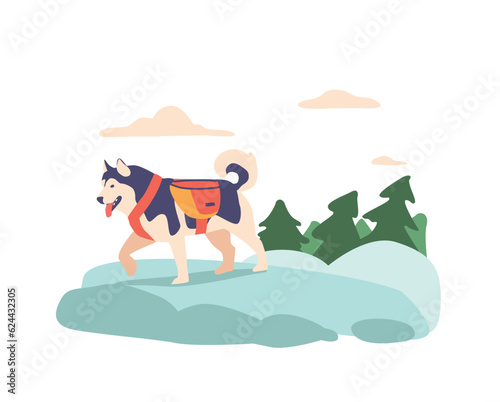 Eskimo Dog In Mountains. Strong And Resilient Breed Of Dog, Perfectly Suited For The Harsh Conditions