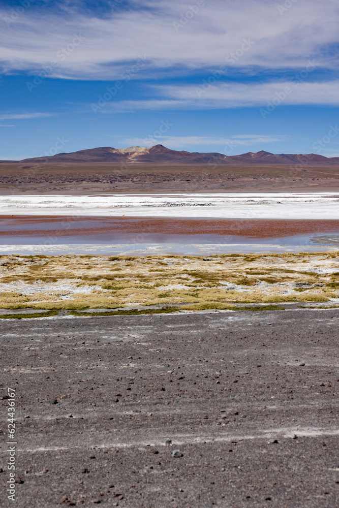 Laguna Colorada, a natural sight while traveling the scenic lagoon route through the remote Fauna Andina Eduardo Avaroa National Reserve in Bolivia, South America Laguna Colorada, a natural sight while traveling the scenic lagoon route through the remote Fauna Andina Eduardo Avaroa National Reserve in Bolivia, South America