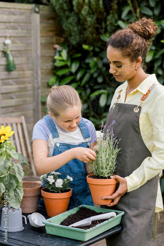 young afro American woman planting seedling in pot