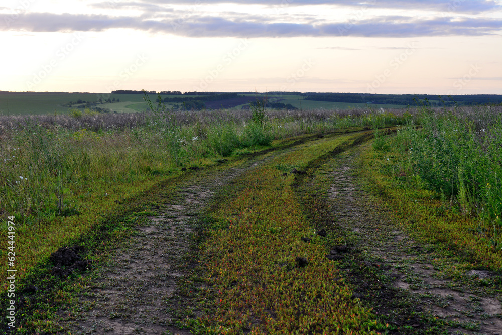 country road going through the field to horizon with dramatic sky copy space 