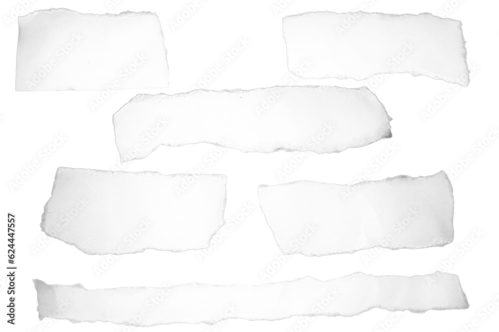 Set of torn paper different shapes ripped scraps fragments wisps isolated on white background