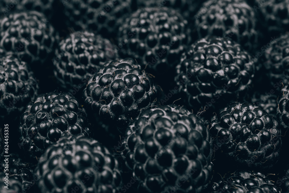 Black raspberries closeup. Macro shot. Heap of fresh ripe and sweet raspberries. Black raspberries closeup. Macro shot. Heap of fresh ripe and sweet raspberries.