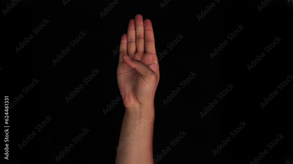 American sign language (ASL). Human hand doing one-handed sign language used by deaf and dumb. Human hand doing Alphabet B sign language in HD.
American sign language (ASL). Human hand doing one-handed sign language used by deaf and dumb. Human hand doing Alphabet B sign language in HD.