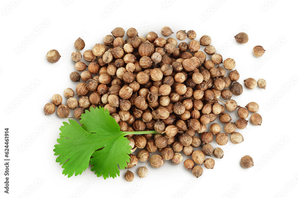 Dried coriander seeds with fresh green leaf isolated on white background. Top view. Flat lay Dried coriander seeds with fresh green leaf isolated on white background. Top view. Flat lay