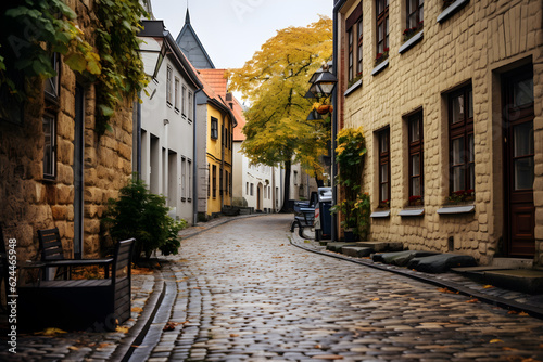 Fototapeta Naklejka Na Ścianę i Meble -  Quaint European Alleyway Cobblestone Streets and Charming Buildings