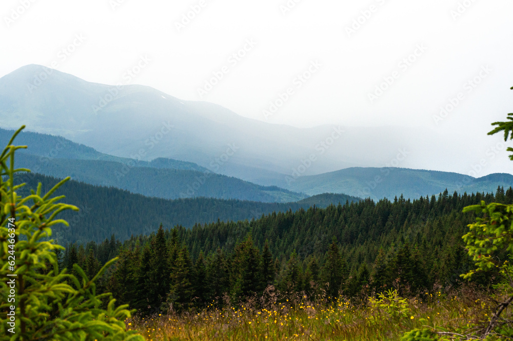 Obraz premium landscape the sky before a thunderstorm, clouds in the mountains before the rain, a cloud is approaching, fog, above the clouds, wallpaper, poster, cover, nature of the Carpathian mountains, green