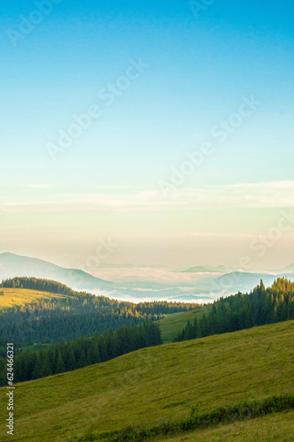 landscape sky forest in the mountains on a sunny summer day mountain silhouettes, fog, wallpaper, poster, cover, nature of the Carpathian mountains, green, natural beauty, vacation, outdoor activities © Hordina Anastasia 