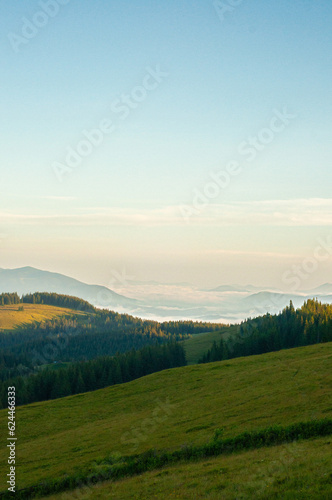 Fototapeta Naklejka Na Ścianę i Meble -  landscape sky forest in the mountains on a sunny summer day mountain silhouettes, fog, wallpaper, poster, cover, nature of the Carpathian mountains, green, natural beauty, vacation, outdoor activities