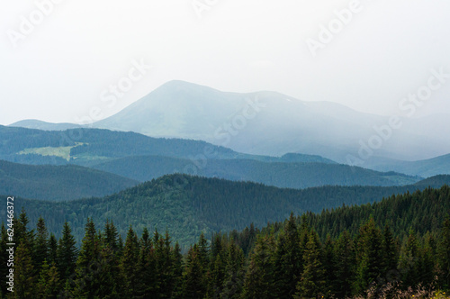 landscape the sky before a thunderstorm, clouds in the mountains before the rain, a cloud is approaching, fog, above the clouds, wallpaper, poster, cover, nature of the Carpathian mountains, green