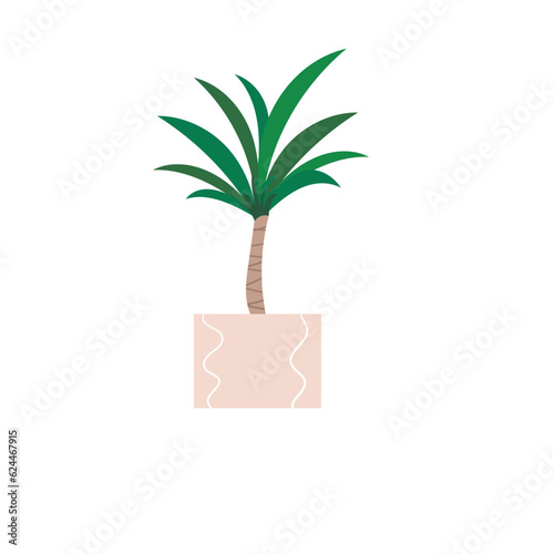 Decorative houseplants in pots. Indoor plants in flower pot, isolated on white background.vector