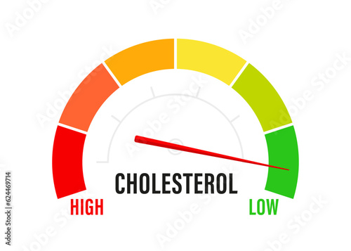 Cholesterol meter icon, low or high cholesterol level indicator on white background, medical flat design. Indicator for healthcare and heart health analysis. Vector illustration