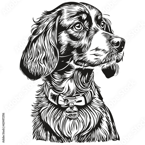 Spaniel English Cocker dog pet sketch illustration, black and white engraving vector realistic breed pet
