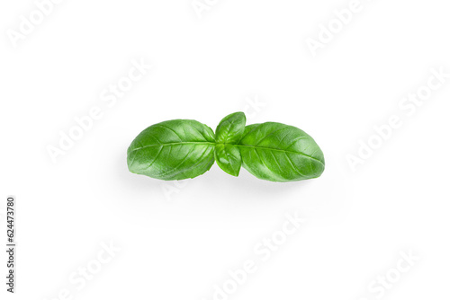 Basil leaf. Green basil leaves isolated on white background.