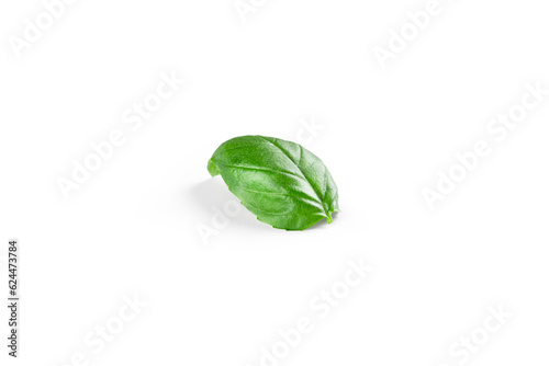 Basil leaf. Green basil leaves isolated on white background.