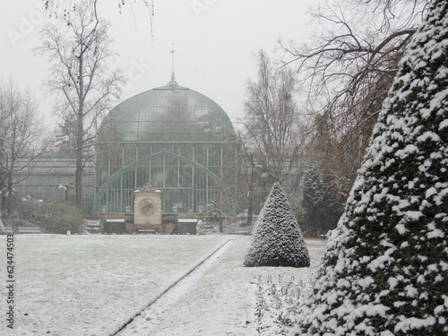 Winter at the park - Serres d'Auteuil - Paris - France photo