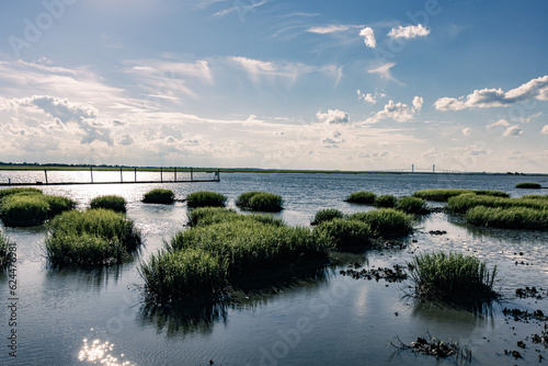 beautiful saltwater marsh of Jekyll Island with sun flare and the sidney lanier bridge in distance © Jon
