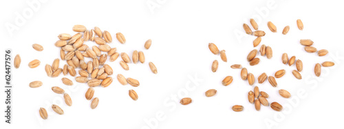 Tableau sur toile wheat grains isolated on white background. Top view