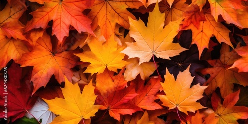 Autumn colorful leaves background  Falling leaves natural background  generative ai