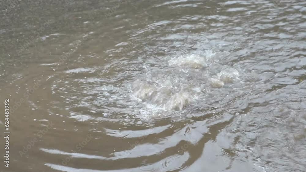 Clogged sewer. Rainwater seethes in the sewers, on the highway. Fountain of dirty rain water from the sewer grate. Clogged sewer. Rainwater seethes in the sewers, on the highway. Fountain of dirty rain water from the sewer grate.