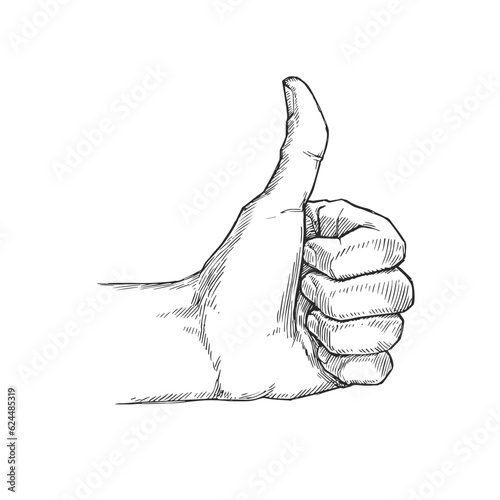 Vector hand-drawn illustration of thumb up in engraving style. Sketch with positive hand gesture. Like sign.