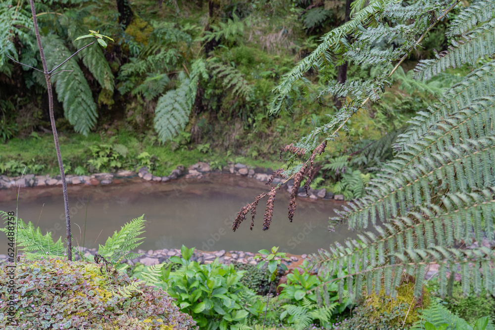 Hot spring Caldeira Velha on the São Miguel island of the Azores in Portugal. Hot spring Caldeira Velha on the São Miguel island of the Azores in Portugal.