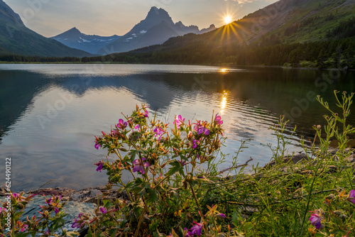Sticky Geranium on the edge of Swiftcurrent Lake with Mt Wilbur and the setting sun in the background, Many Glacier, Glacier National Park, Montana photo