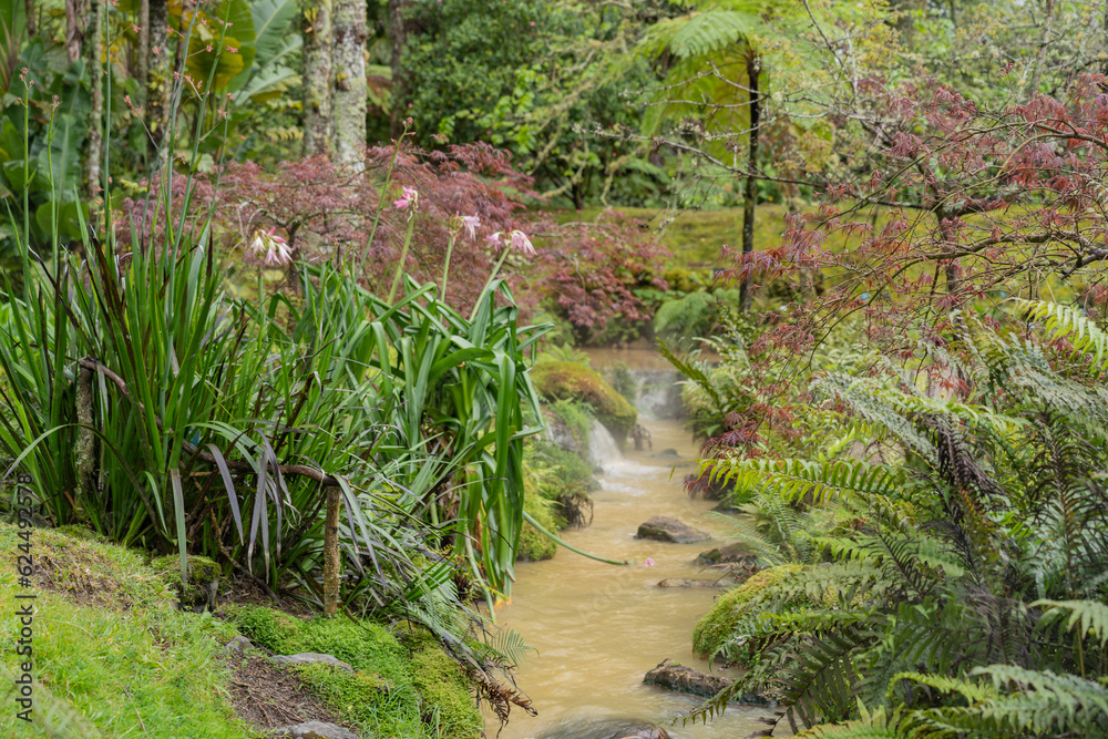 The rainforest, jungle on Sao Miguel in the Azores. Paque Terra Nostra with thermal bath of the volcano. The rainforest, jungle on Sao Miguel in the Azores. Paque Terra Nostra with thermal bath of the volcano.