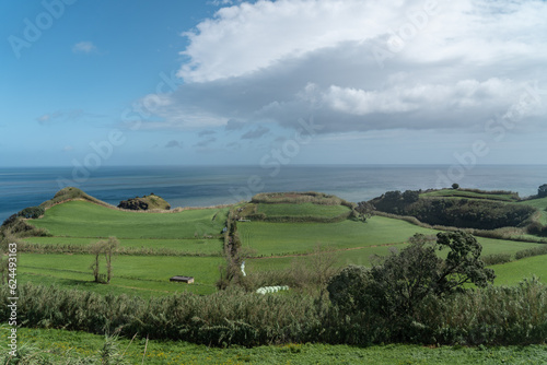 Green landscape on the island Sao Miguel Island on the Azores