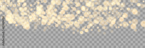 Sparkling golden particles, glowing bokeh lights isolated on dark transparent background. Vector illustration