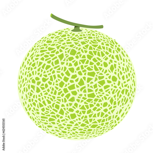 melon isolated on white background