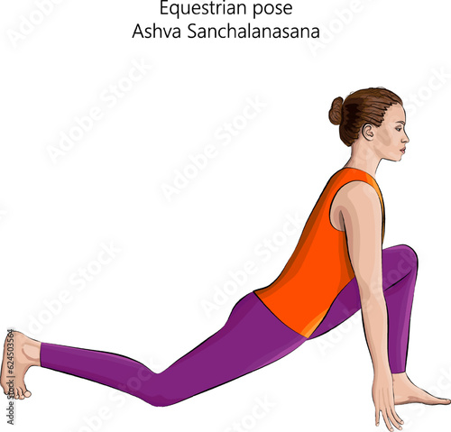 Young woman practicing yoga exercise, doing Equestrian pose. Ashva Sanchalanasana. Arm Leg Support and Balancing. Beginner. Isolated vector illustration.