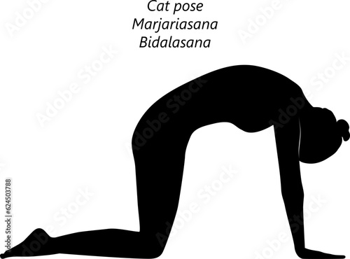Black silhouette of young woman practicing yoga, doing Cat pose. Marjariasana. Bidalasana, Arm Leg Support and Forward Bend. Beginner. Isolated vector illustration.