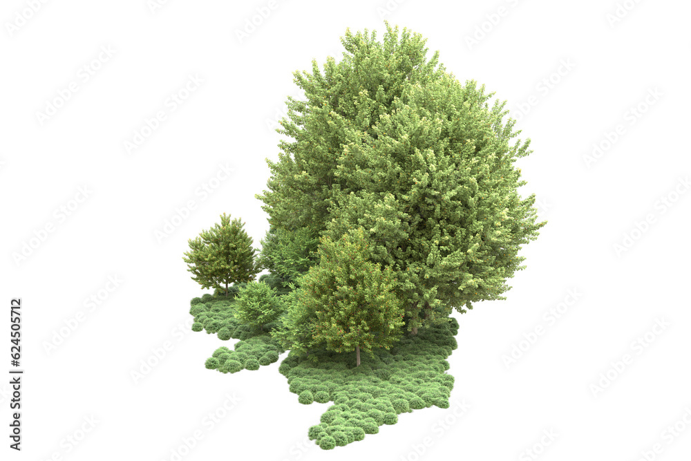 Fototapeta premium Landscape isolated on transparent background. 3d rendering - illustration