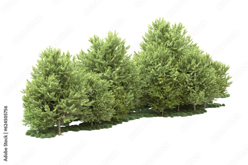 Fototapeta premium Landscape isolated on transparent background. 3d rendering - illustration
