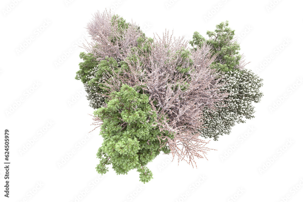 Fototapeta premium Landscape isolated on transparent background. 3d rendering - illustration