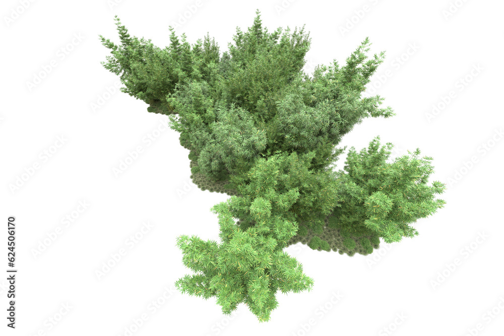 Fototapeta premium Landscape isolated on transparent background. 3d rendering - illustration