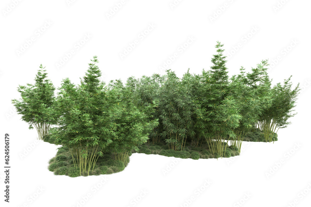 Fototapeta premium Landscape isolated on transparent background. 3d rendering - illustration