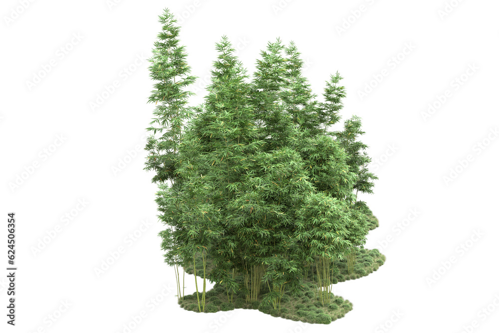Fototapeta premium Landscape isolated on transparent background. 3d rendering - illustration